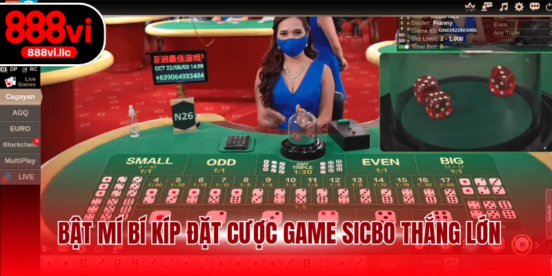 Bật mí bí kíp đặt cược game sicbo thắng lớn
