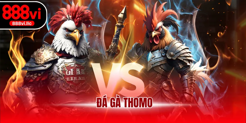 đá gà Thomo