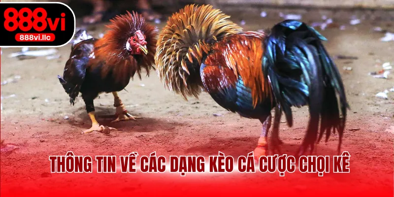 Thông tin về các dạng kèo cá cược chọi kê